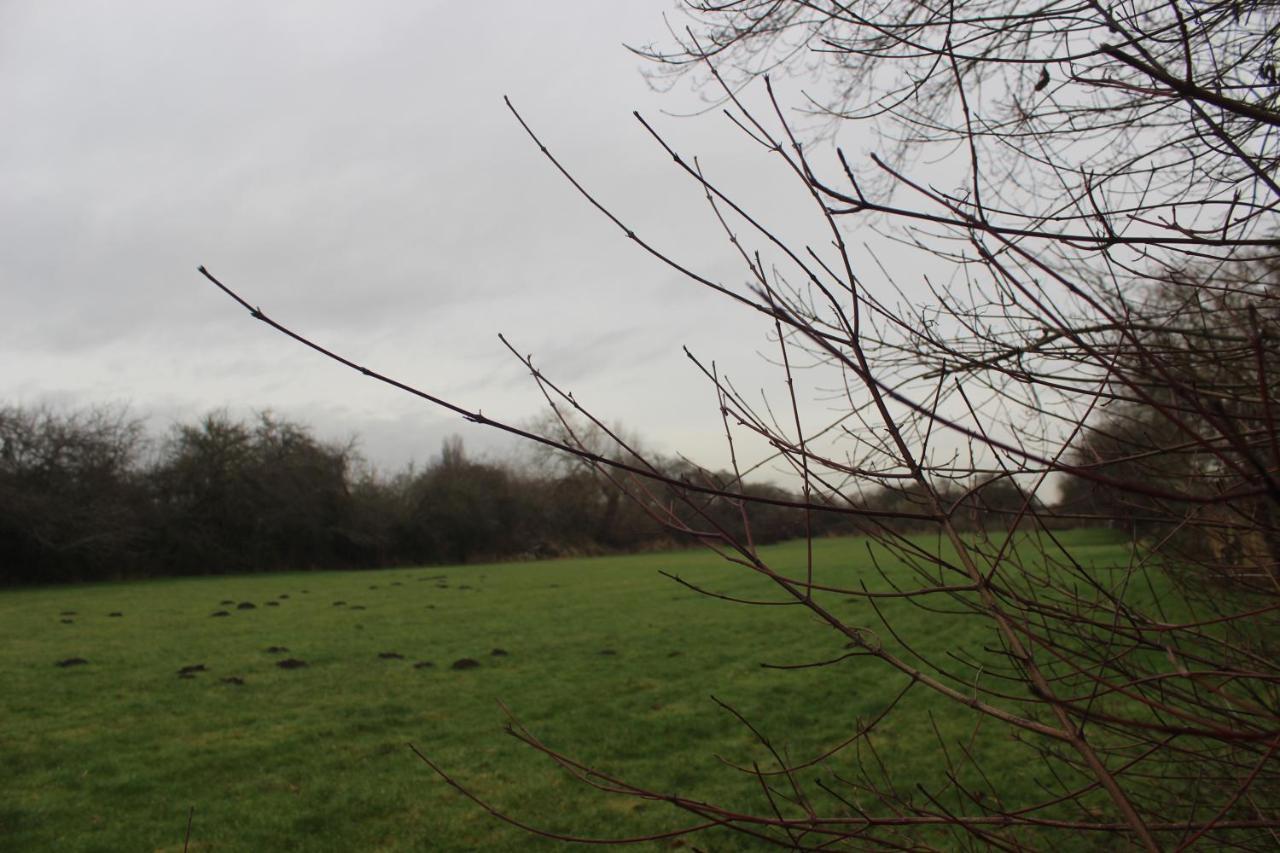 Shelford Lodge Trumpington Buitenkant foto